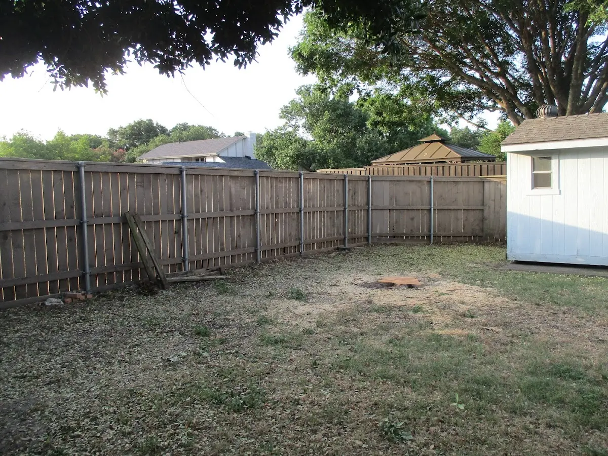 Cleared yard after professional tree removal in Shelton